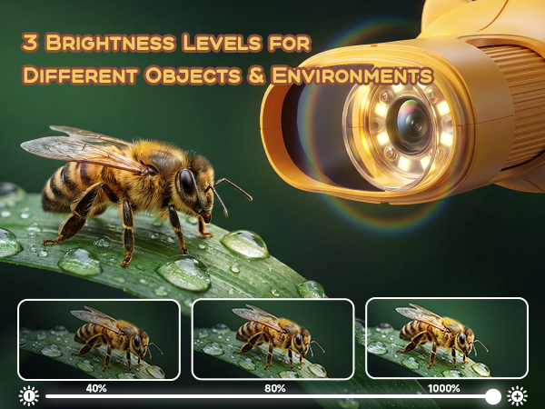 1000X Digital Microscope for Kids Handheld Mini Pocket Microscope 2MP Camera, STEM Educational Toy