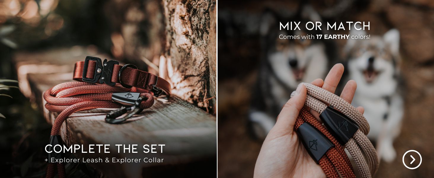 Complete the set or mix &amp; match with our explorer leash &amp; collar