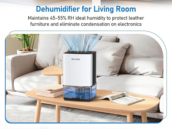 Dehumidifier