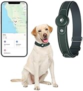 2-in-1 GPS Tracker for Dogs: Smart Collar with Real-Time Location, No Monthly Fee, Unlimited Rang...