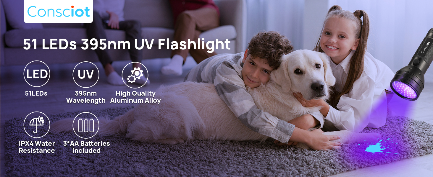 uv light flashlight pet urine detector