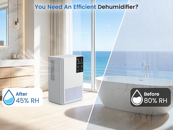 dehumidifiers for home