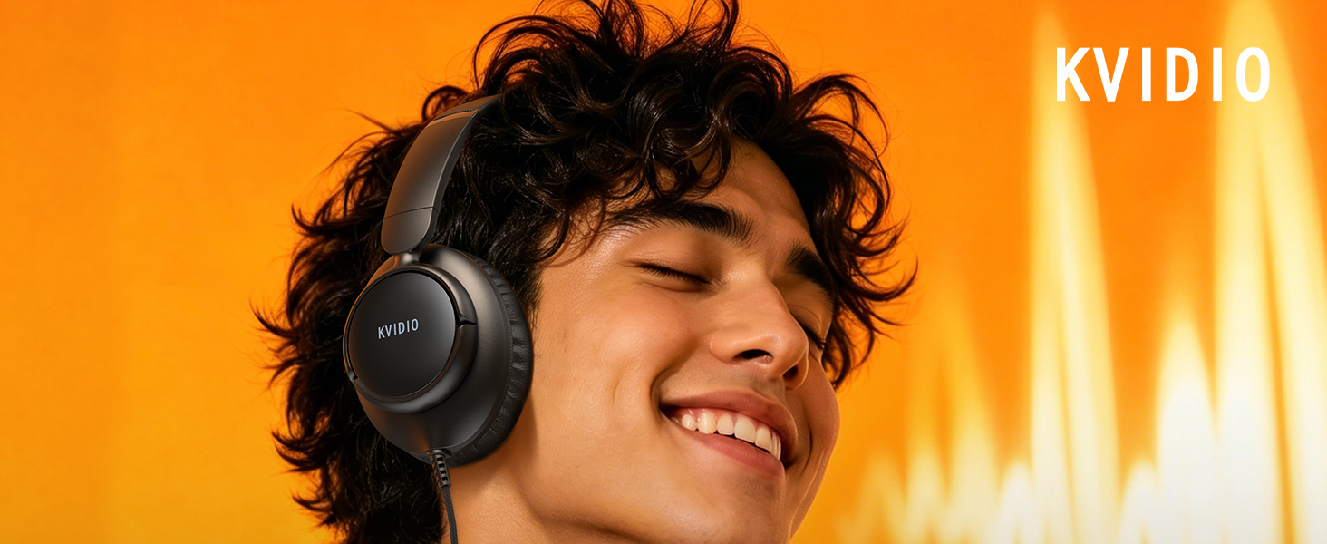 Wired Headphones with Mic