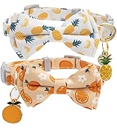 Faygarsle 2 Pack Cute Cat Collar with Bell Breakaway Bowtie Cat Collar for Male and Female Cats S...