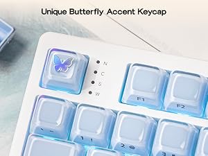Lusterfly jelly kecaps set