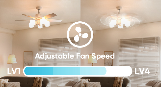 smart fan and dimmer switch