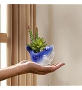 Cute Ceramic Succulent Happy Shark Garden Pots,w/Pottery Quality Finish, Cute Planting Pot, Indoo...