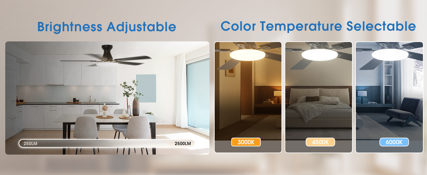 Ceiling fans with customizable light