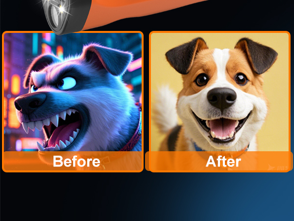 Dog Bark Deterrent Device