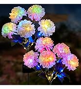 2 Pack Solar Garden Lights Outdoor, LED Colorful Waterproof Solar Powered Hydrangea Flowers Lands...