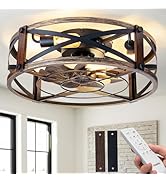 Passky 20" Farmhouse Flush Mount Ceiling Fans with Lights and Remote, Industrial Black Caged Low ...