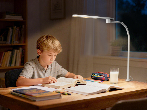 gooseneck desk lamp