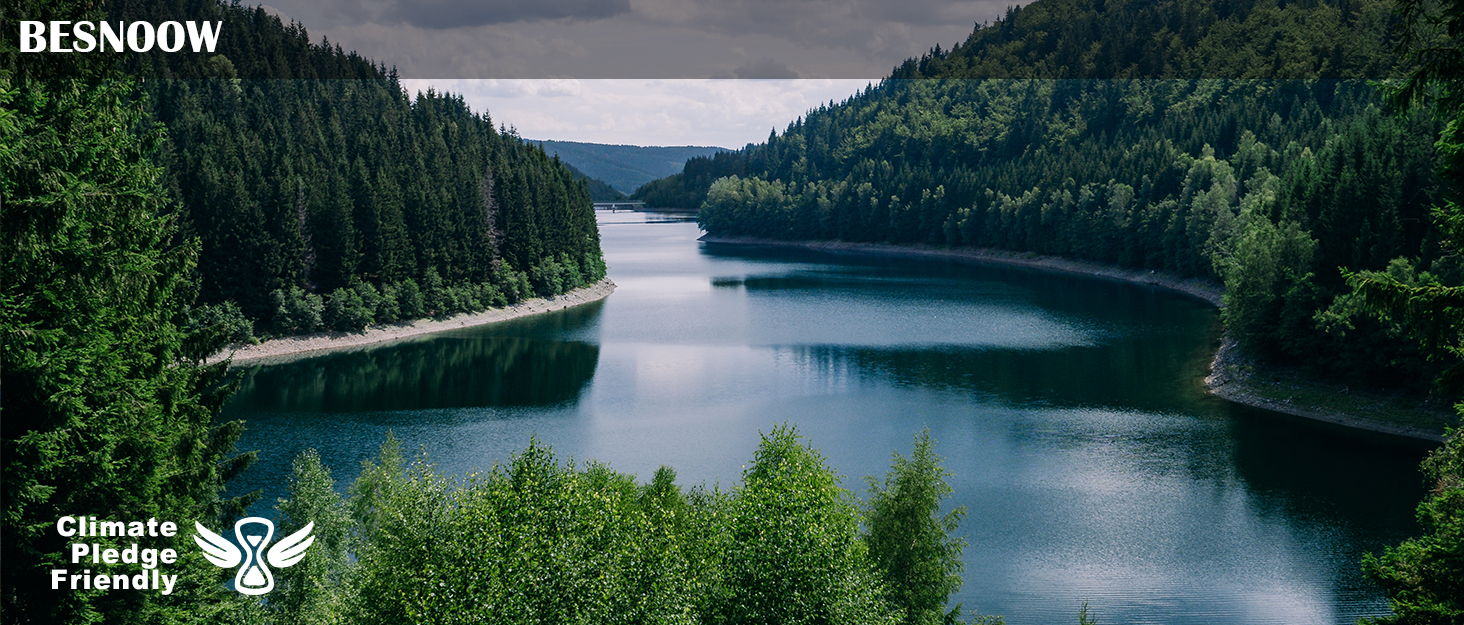 Wireless Earbuds 2024