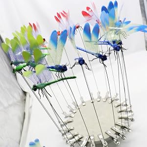 Dragonfly Clips