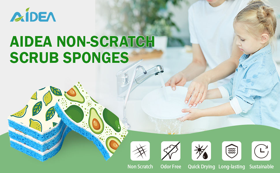 Sponges