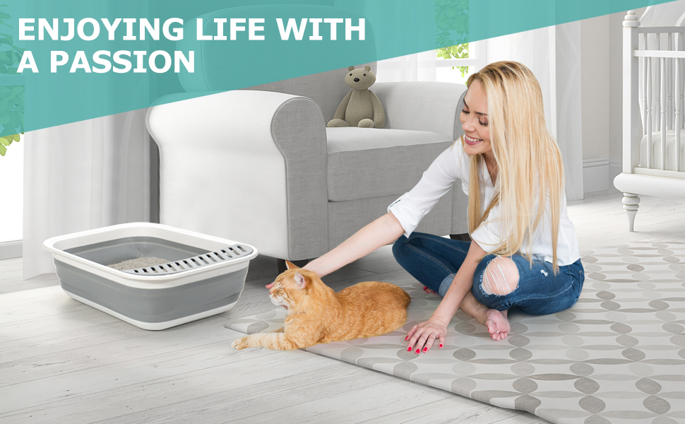 Ensure your cat&amp;#39;s safe use
