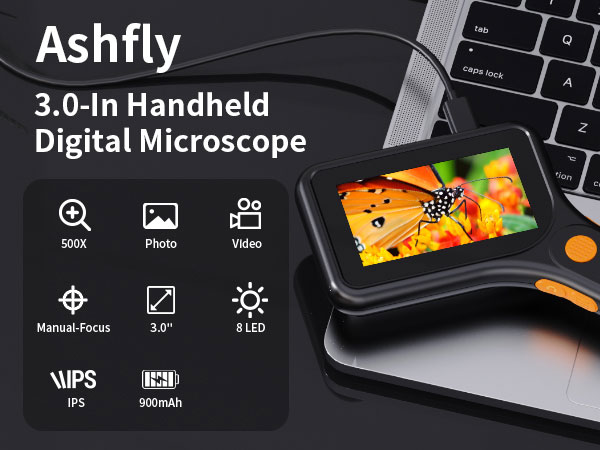 3 in mangifier with light