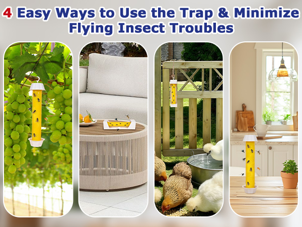 fly traps outdoor