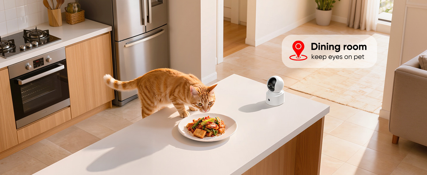 battery powered pet camera