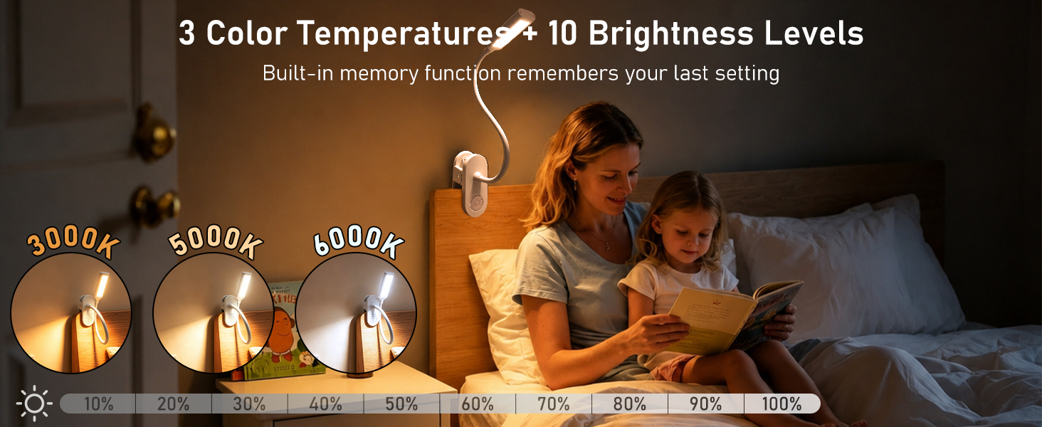 portable lamp