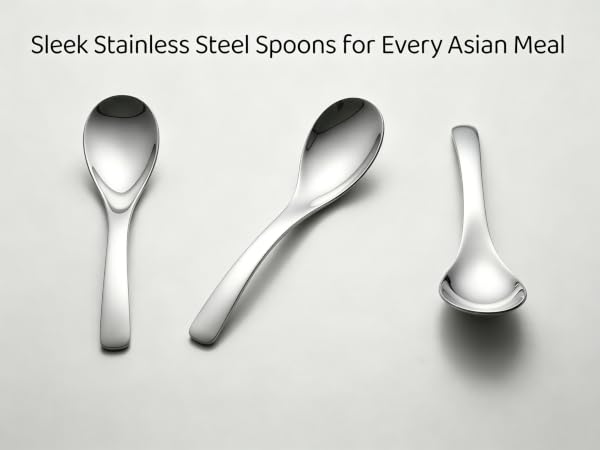Ramen Spoon for Soup set of 6