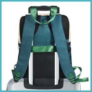 Scothen Cooler Backpack