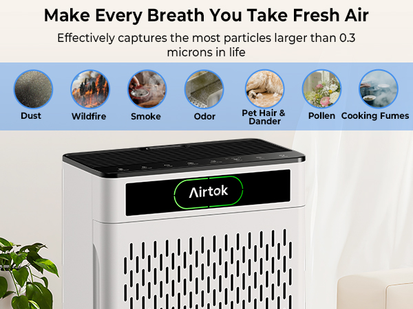 Air Purifiers
