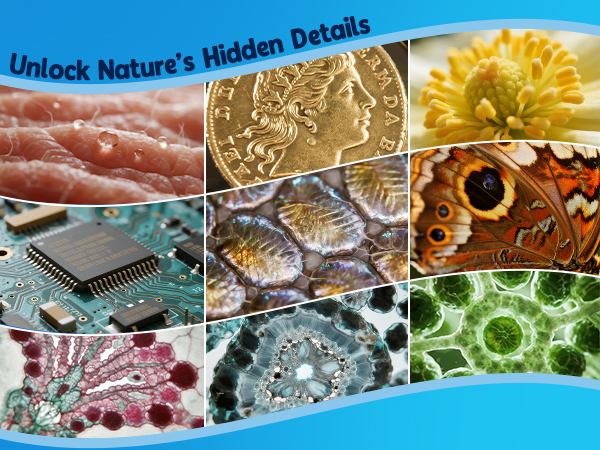 can observe skin coin flower chip pet insect plants leaf cell crystal fabric hair pollen tree bark