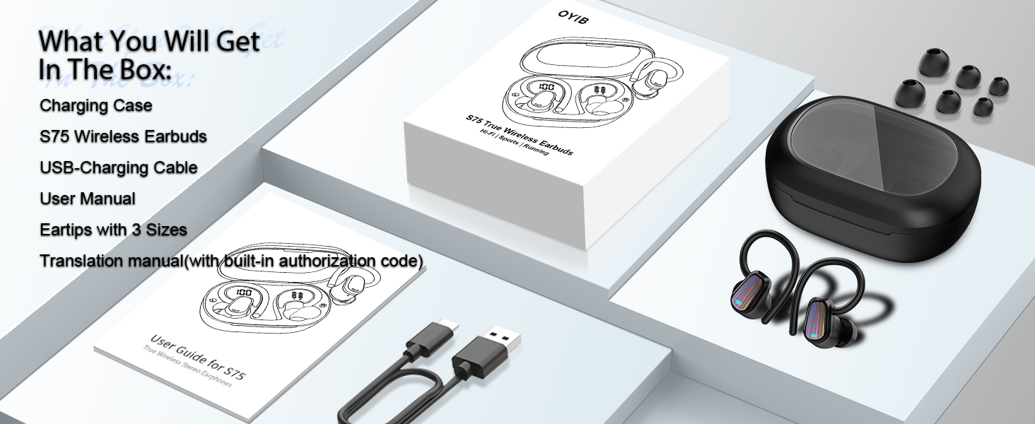 Ai Translation Earbuds