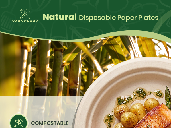 disposable plates