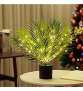 hibeauti Artificial Areca Palm LED Night Light for Womens Gifts, for Womens Mom Wife Friends Her ...