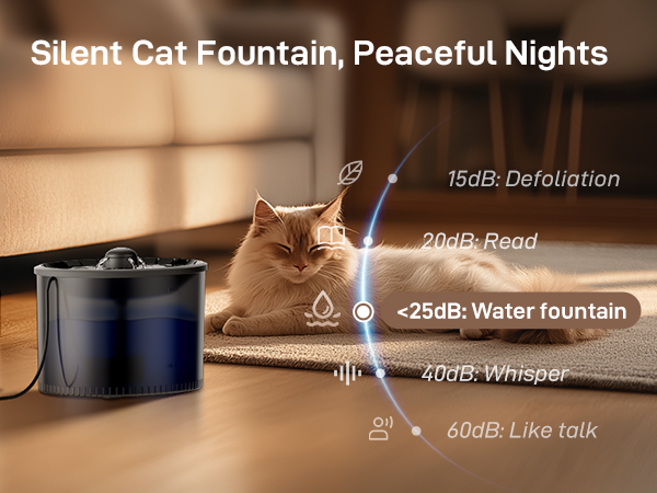 cat feeder and water dispenser