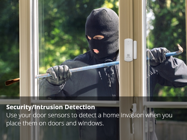 security &amp;amp; intrusion detection protection image