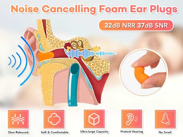 ear plugs 
