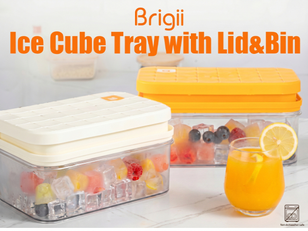 ice cube tray