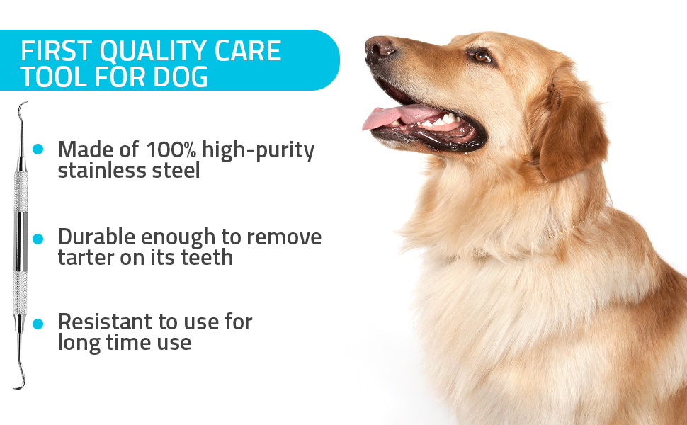 Dog Oral Health
