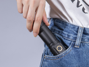 Portable UV flashlight