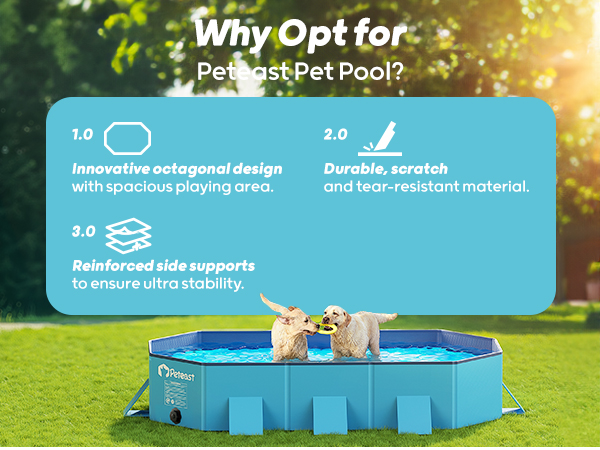 dog proof pool