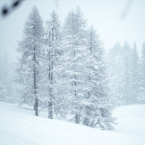 precision rain gauge outdoor