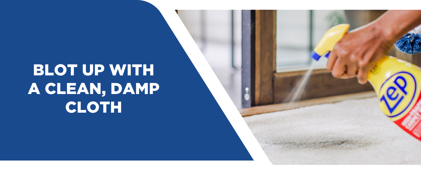 Blot up with a clean, damp cloth