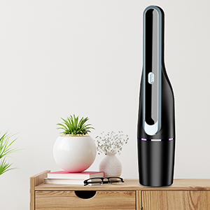 cordless handheld vacuum