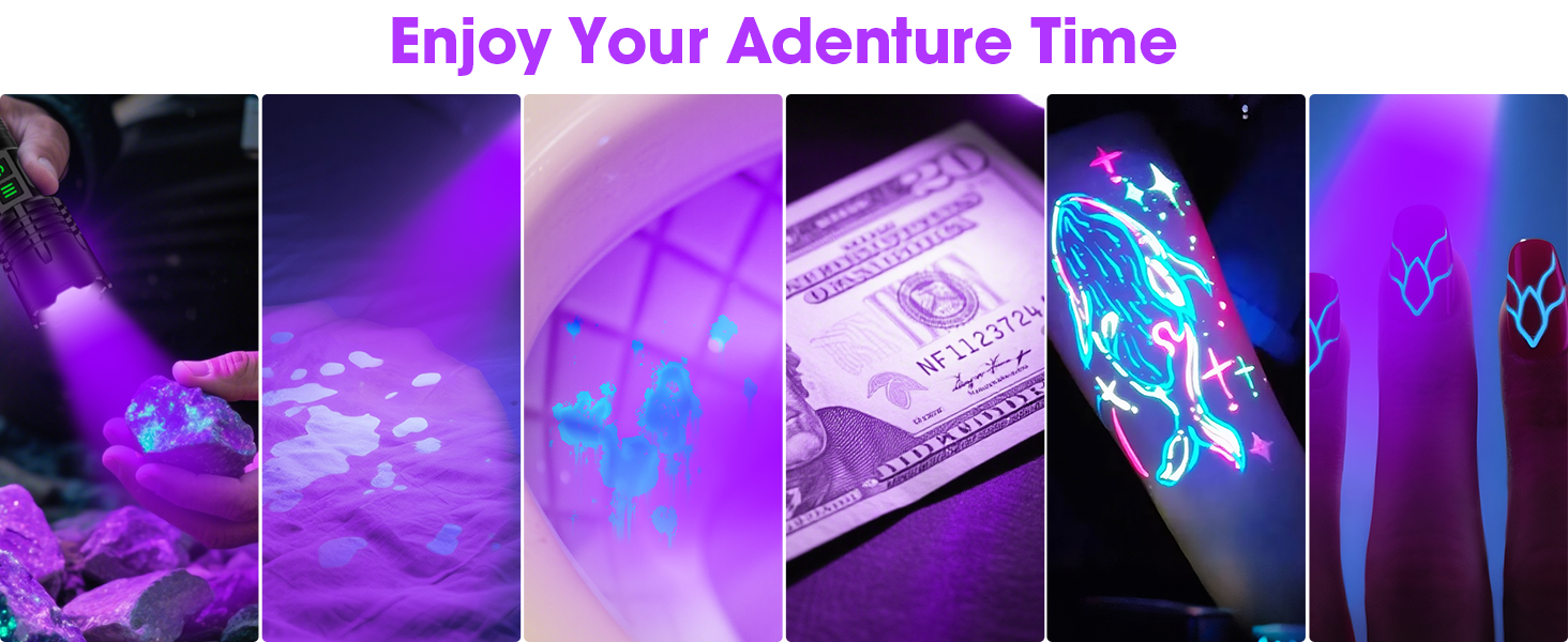 pet urine detector light