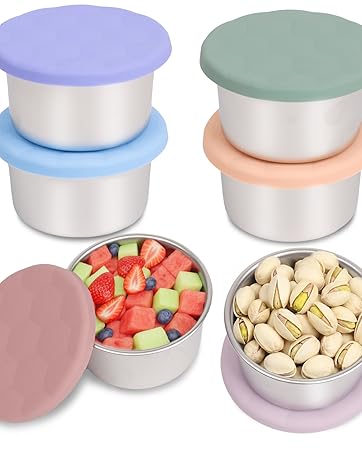 Stainless Steel Snack Containers for Kids