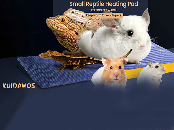 guinea pig heating pad 