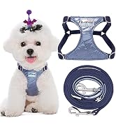 No Pull xs Dog Harness with Multifunction Dog Leash,Soft Adjustable No Choke Escape Proof Pet Har...
