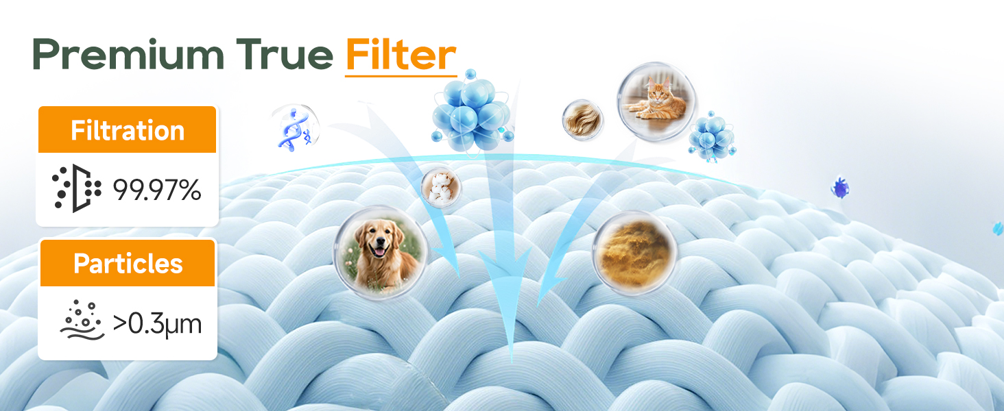 Premium True Filter