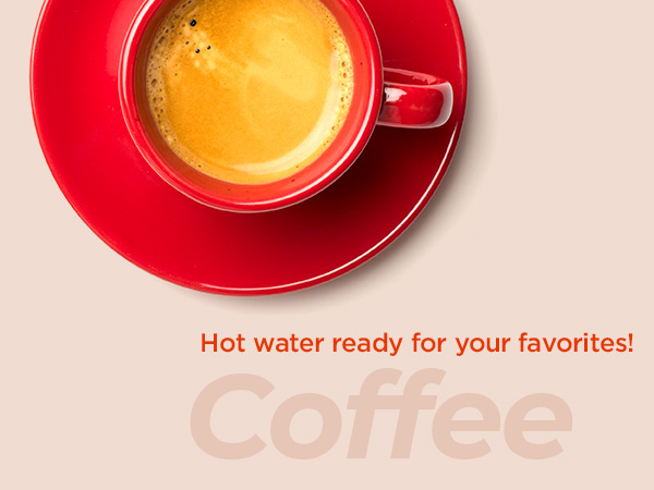 Electric tea kettle electric kettles for boiling water hot water kettle electric water heater 