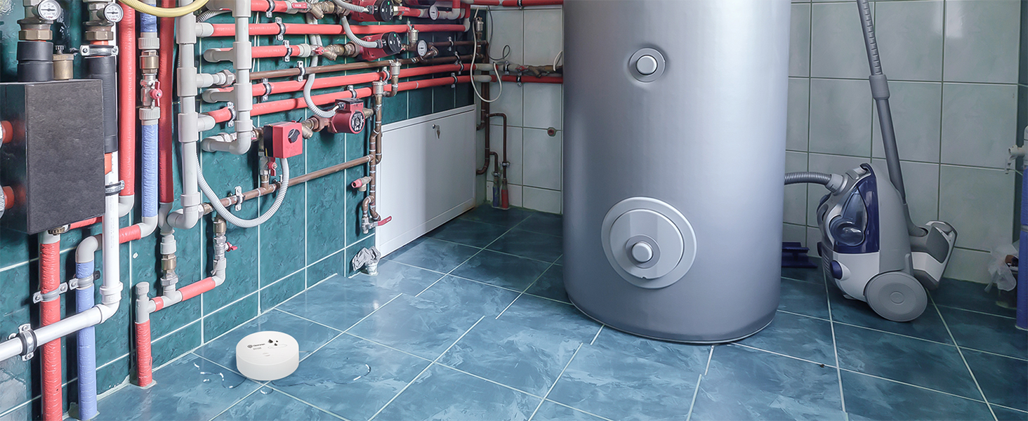 basement water alarm