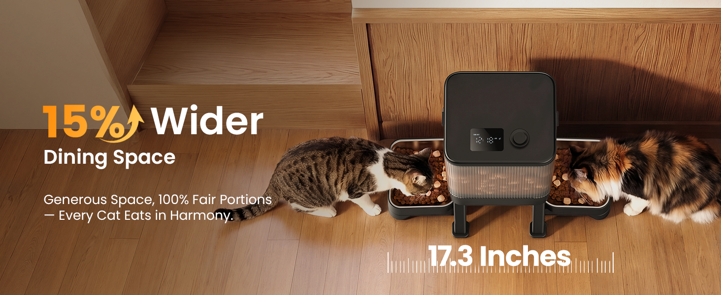 automatic cat feeder