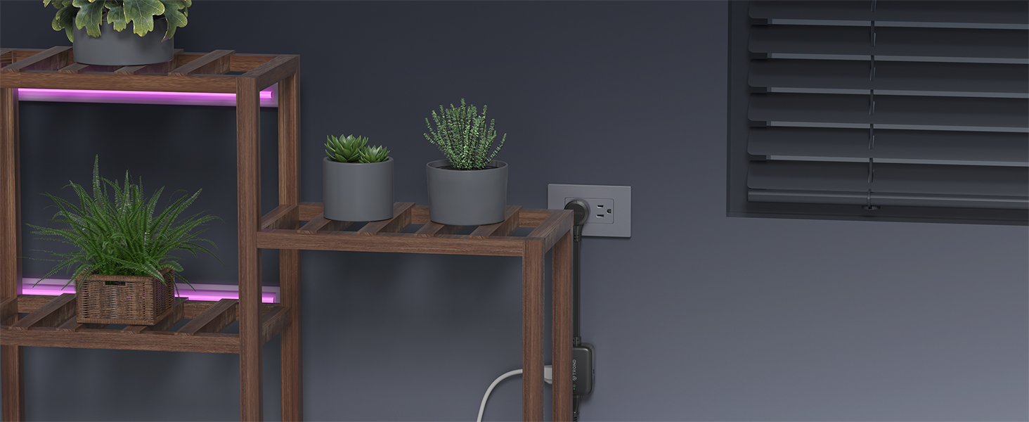 multiple plug outlet